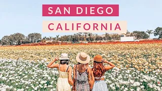 SAN DIEGO CALIFORNIA | Travel Vlog