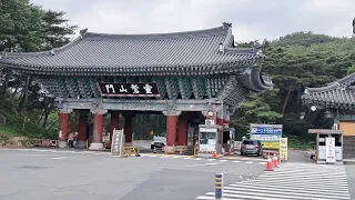 양산 통도사에서 도보로 문재인 집 앞까지 1인 시위갑니다. 2023.5.19(일)