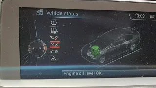 Verifica nivel ulei electronic la BMW seria3 F30