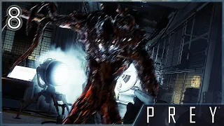 #8 PREY - Мастерская доктора Кальвино