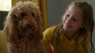 Everybody Quiet! | Waffle the Wonderdog | Live Action Videos for Kids | WildBrain Zigzag