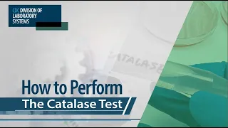 How to Perform The Catalase Test