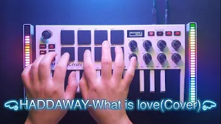 HADDAWAY - What is love / Cover(Akai MPK mini)