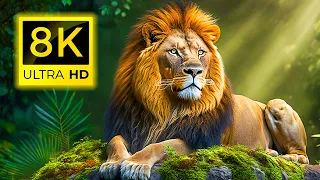 8K MAGICAL ANIMALS - Discover the Secret World of 8K Magical Animals  - 8K ULTRA HD