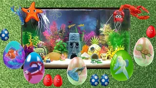 Cute Animals, Glofish, Pufferfish, Pomfretfish, Koifish, Jellyfish, Turtle, Lobster