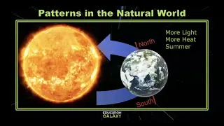 4th Grade - Science - Patterns in the Natural World - Topic Overview