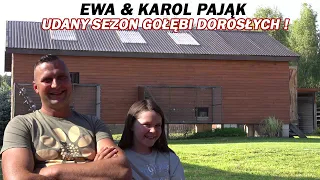 Ewa & Karol Pająk - 0182 Suchedniów | "SEZON ŻYCIA" - podsumowanie lotów gołębi dorosłych! 🏆