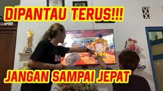 NEMENIN KAK JIZ YG LAGI MANTAU AYANG ❗️