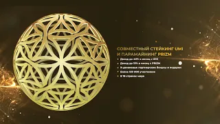 Монета UMI - высокодоходная криптовалюта!