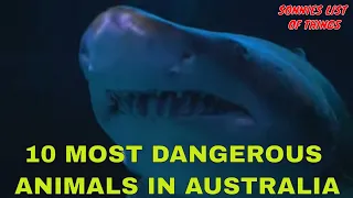 10 Of The Most Dangerous Animals In Australia