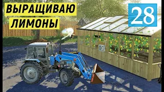 Farming Simulator 19 - КУПИЛ Соседний УЧАСТОК и Поставил ТЕПЛИЦУ - Фермер в совхозе РАССВЕТ # 28