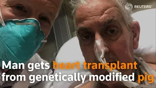 Man gets heart transplant from genetically modified pig