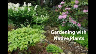 Gardening with native plants webinar