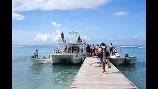 Scuba Diving in BAYAHIBE, DOMINICAN REPUBLIC Dressel Divers Dive Center