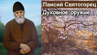 Духовное оружие / Паисий Святогорец. Том 2. Духовное пробуждение