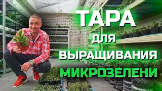 Тара для Микрозелени в чем выращивать