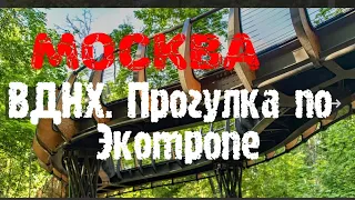 Москва. ВДНХ. Прогулка по Экотропе. 27 июля 2020 г.