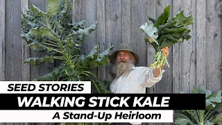 SEED STORIES | Walking Stick Kale: A Stand-Up Heirloom