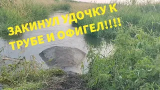 Необычная рыбалка в канаве летом. Карась, Щука, Окунь! #рыбалка #рыбалка2023 #поплавочнаяудочка