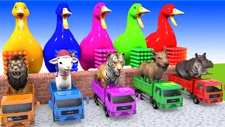 5 Giant Duck, Monkey, Piglet, chicken, dog, cow,tiger, Sheep, Transfiguration funny animal 2023