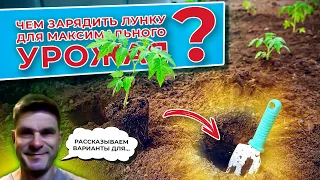 Чем зарядить лунку для максимального урожая? Варианты для помидор, перцев, баклажан, огурцов