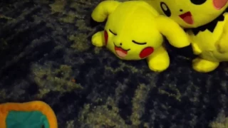 Pikachus Funeral