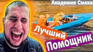 МАНУРИН СМОТРИТ АКАДЕМИЯ СМЕХА ЛУЧШИЕ ПРИКОЛЫ - WATCH THE MANYRIN РЕАКЦИЯ ПРИКОЛЫ #реакция