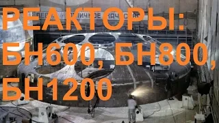 РЕАКТОРЫ: БН600, БН800, БН1200