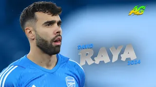 David Raya 2024 ● Crazy & Best Saves  | FHD