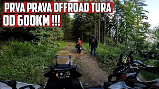 Epska Offroad Avantura od 600km u Zapadnoj Srbiji !!! CFMoto 450MT, 450SR i Tiger 900 Rally Pro !!!