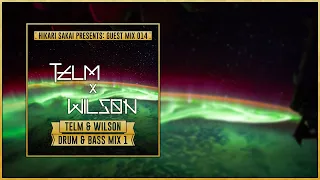 Hikari's Guest Mixes 014 - Telm & Wilson's Drum & Bass Mix 1