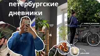 июльский влог | ночую одна, собираюсь в Москву, рабочие будни SMM специалиста