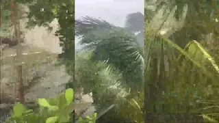 🚨🚨🚩🚩 HURACÁN LISA TOCÓ TIERRA EN BELICE CAUSANDO TERRIBLES DAÑOS .. PRIMERAS IMÁGENES🚩🚩🚩🚨🚨🌀⛈