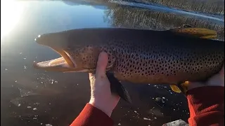 Finding Big Fish in Icy Scottish Lochs!