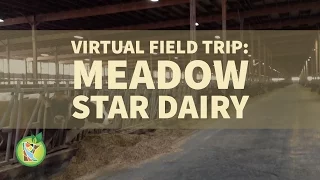 MAITC Virtual Field Trip: Welcome to Meadow Star Dairy!