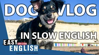 English CONVERSATION for BEGINNERS - DOG Routine | Super Easy English 26