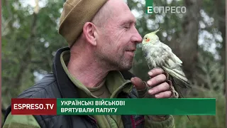 Українські військові врятували папугу