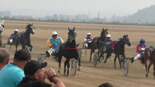 Рысаки орловцы 2 х лет 1600м. Емельяновский ипподром 2019 сельский