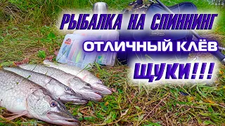 Рыбалка на спиннинг, отличный клев щуки!!! с. Песчаное