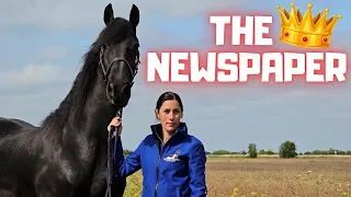 Wow! My life story so far in the newspaper!! | What preceded... | Friesian Horses