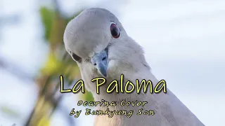 La Paloma(라팔로마)/Trio Los Panchos/Ocarina Cover(3중주)