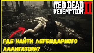 ГДЕ НАЙТИ ЛЕГЕНДАРНОГО АЛЛИГАТОРА? I RDR 2 I ОХОТА НА ЛЕГЕНДАРНОГО КРОКОДИЛА