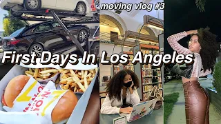 FIRST DAYS IN LA | picking up our car, grocery shopping, trying in N out + more | MOVING VLOG 3
