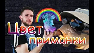 ВЛИЯЕТ ЛИ ЦВЕТ ПРИМАНКИ НА КЛЁВ РЫБЫ! МИФЫ - О !