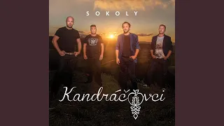 Sokoly