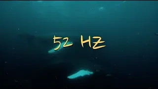 KnowKnow - 52 HZ (prod. Roko Tensei) [Official Lyric Video]