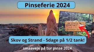 Pinsen 2024: Billig Eventyrtur til Skov, Hede og Strand med Autocamper!  #smaaveje #limfjorden