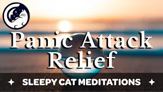 Panic Attack Calming Meditation - Breathing, Words of Comfort and Body Scan to Release Anxiety