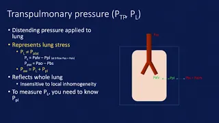 PTP, Peso, Stress, Strain:A User’s Guide to Bedside Ventilation Physiology - Eric Honig, MD