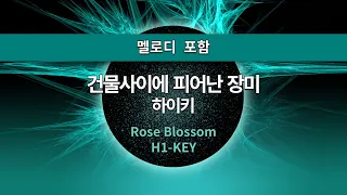 [MR노래방ㆍ멜로디 포함] 건물 사이에 피어난 장미 - 하이키 ㆍRose Blossom - H1-KEY ㆍMR Karaoke